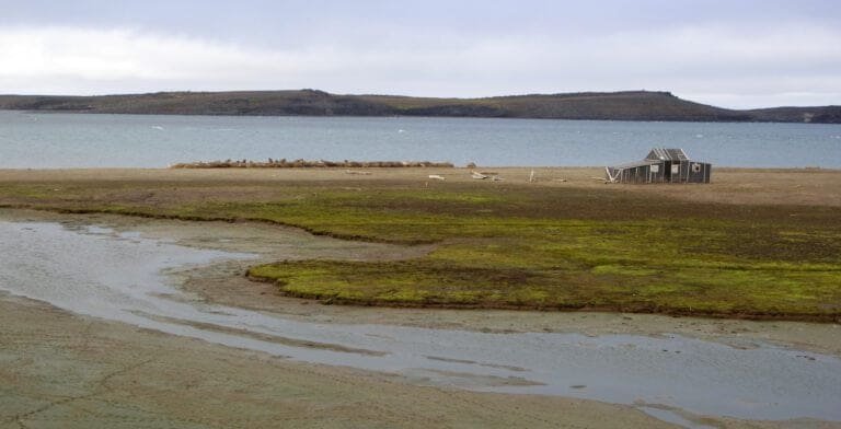 Thumbnail for Andréetangen