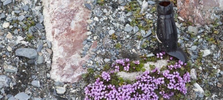 Thumbnail for Crozierpynten