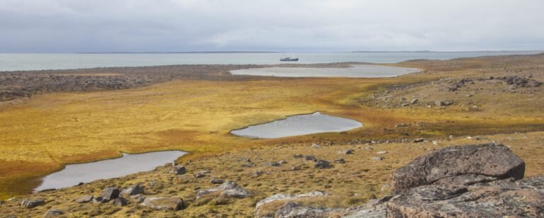 Thumbnail for Sundneset