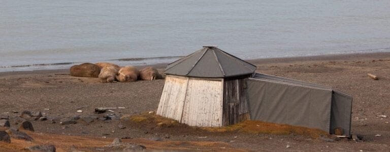 Thumbnail for Kapp Lee – Dolerittneset