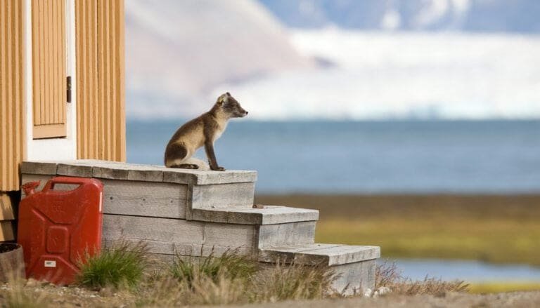 Thumbnail for Marketing guidelines