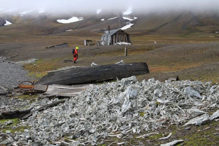 Thumbnail for Ahlstrandhalvøya
