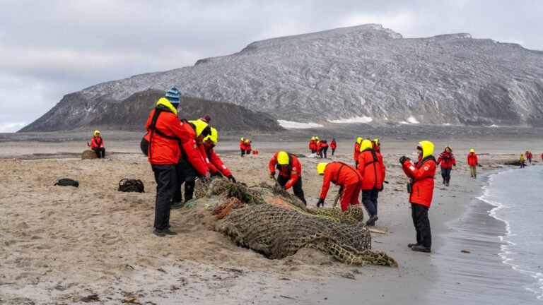 Thumbnail for Clean Seas