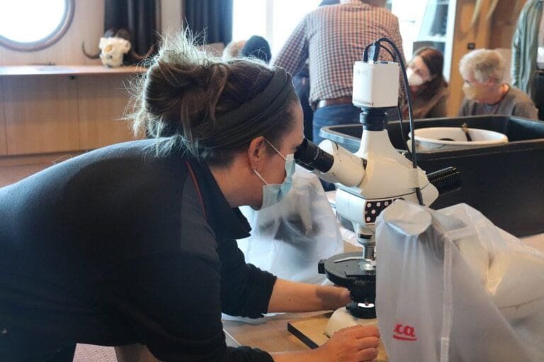 Thumbnail for Knowledge