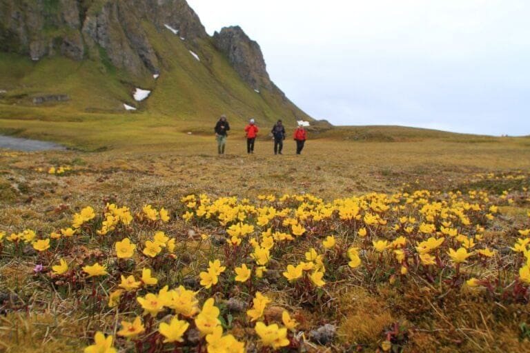 Thumbnail for Knowledge Base for Guides