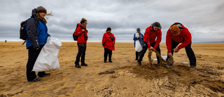 Thumbnail for Clean Up Iceland