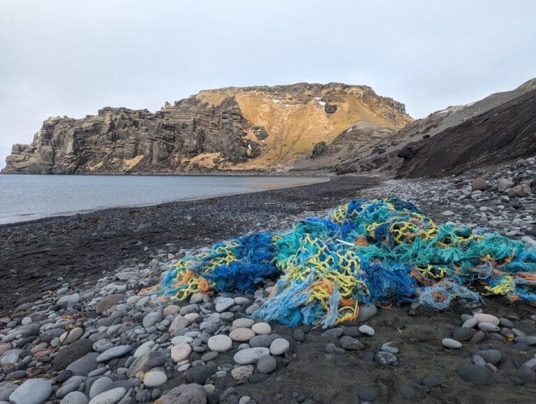 Thumbnail for Clean Up Svalbard