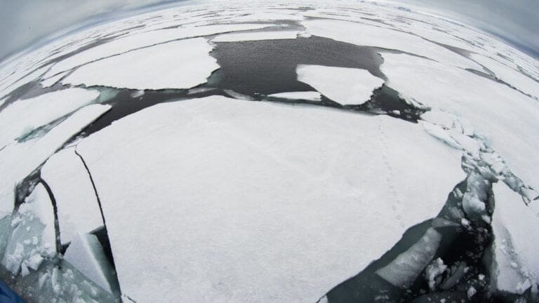 Thumbnail for The State of Svalbard Waters: Paul Renaud