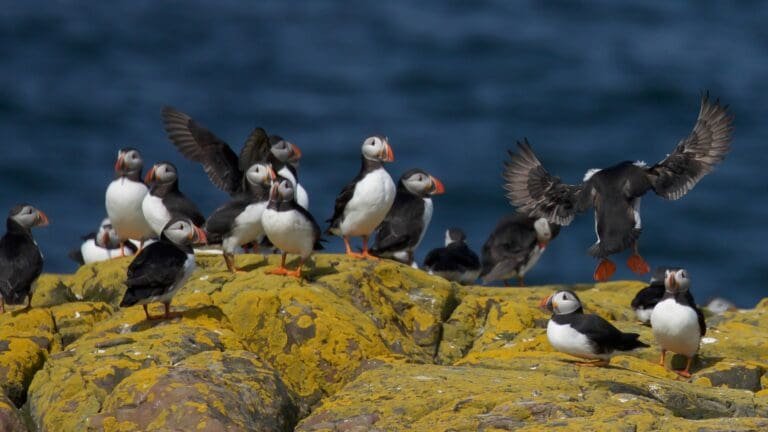 Thumbnail for Environment