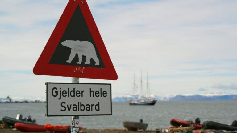 Thumbnail for Cruise Tourism Generates 361 Million NOK on Svalbard
